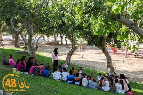 makjraazajamahery (2).jpg